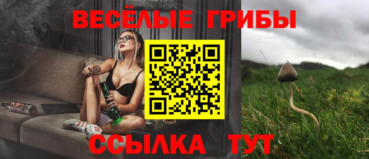 Псилоцибиновые грибы GOLDEN TEACHER Южно-Сахалинск